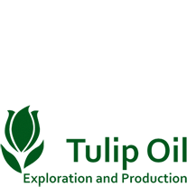 Tulip Oil